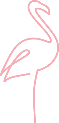 logo flamant rose pink flamingo page 404